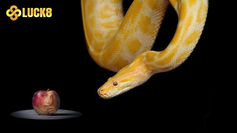 Mơ thấy rắn chung chung